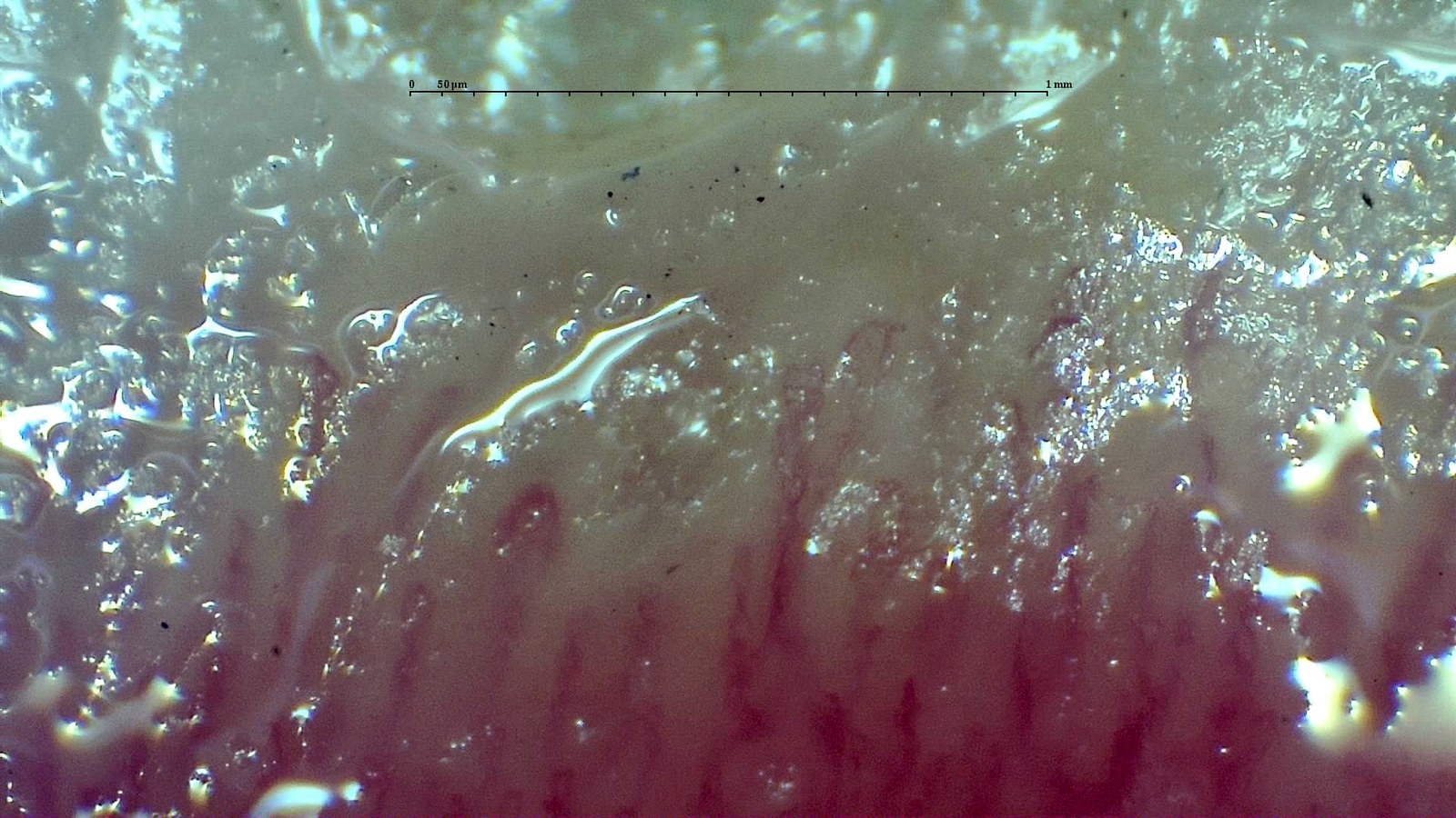 Field with intense reflections hiding the capillary row